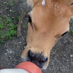 Meet your Posher, Mariah